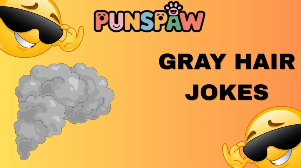Gray Hair Jokes