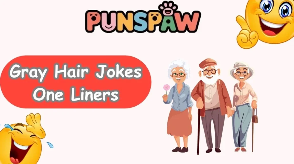 Gray Hair Jokes One Liners
