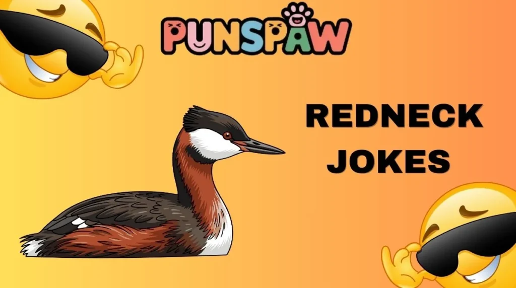 Redneck Jokes
