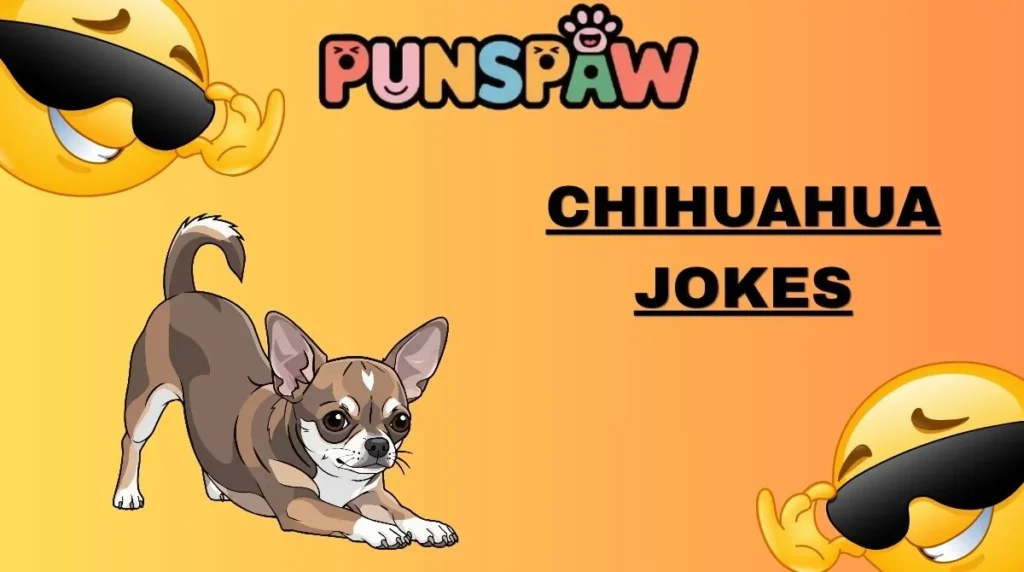 Chihuahua Jokes