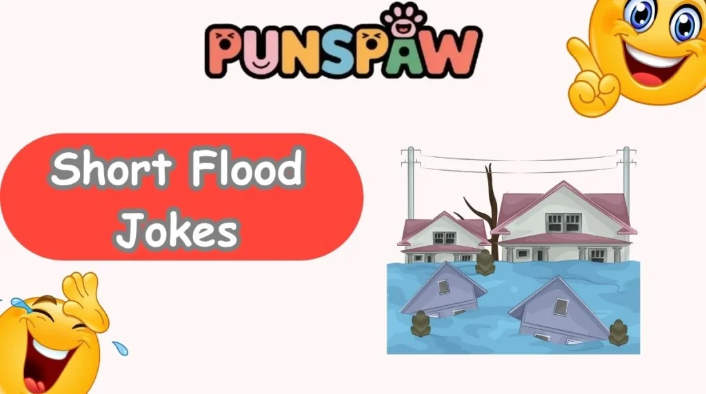 Short Flood Jokes