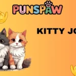 Kitty Jokes