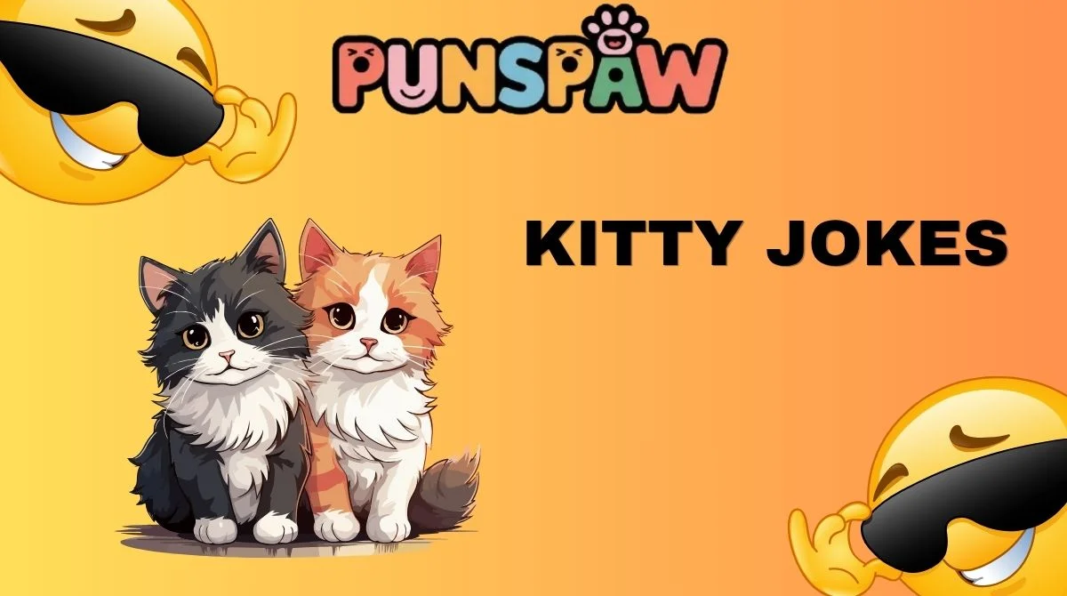 Kitty Jokes