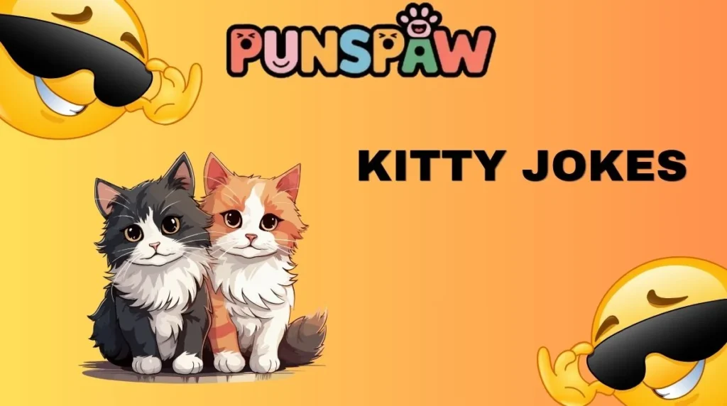 Kitty Jokes
