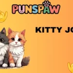 Kitty Jokes